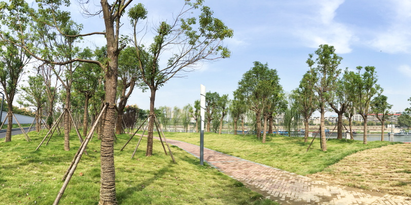 AG8�콢����(�й�)������ҳ