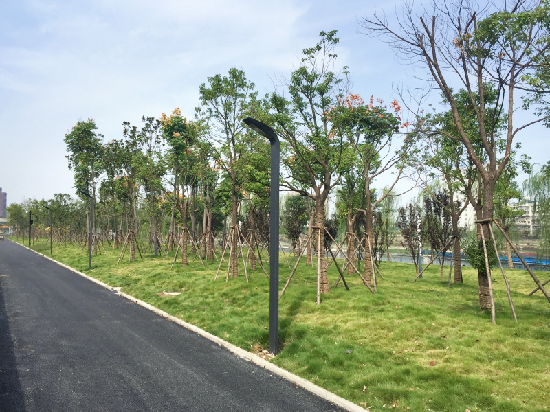 AG8�콢����(�й�)������ҳ