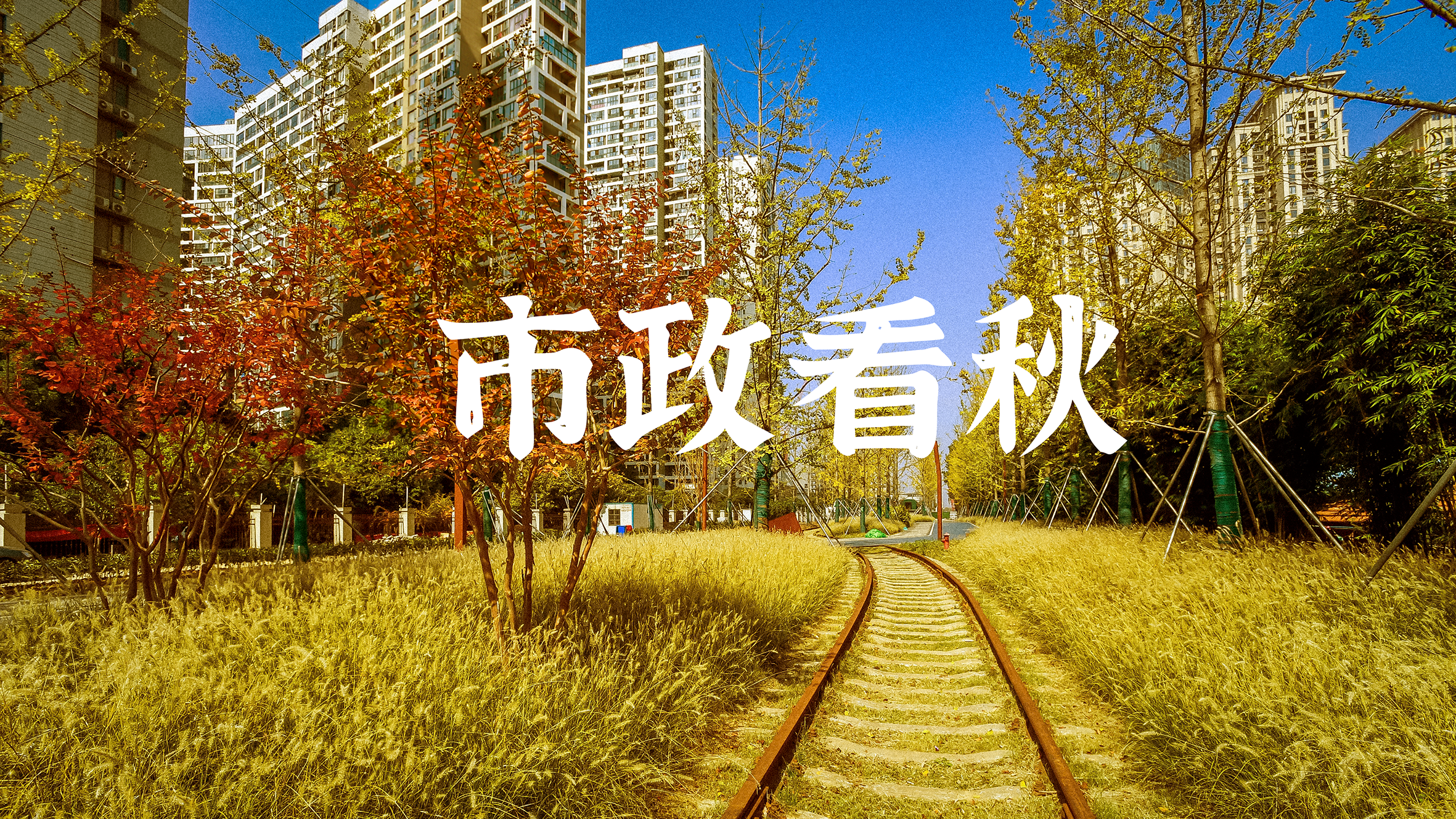 AG8�콢����(�й�)������ҳ