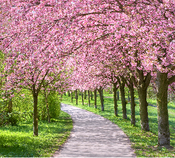 AG8�콢����(�й�)������ҳ