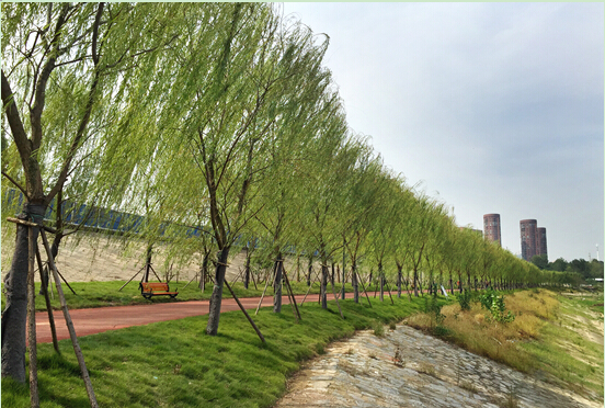 AG8�콢����(�й�)������ҳ