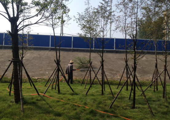 AG8�콢����(�й�)������ҳ