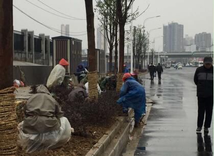 AG8�콢����(�й�)������ҳ