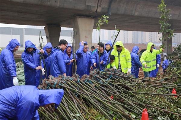 AG8�콢����(�й�)������ҳ