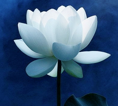 AG8�콢����(�й�)������ҳ