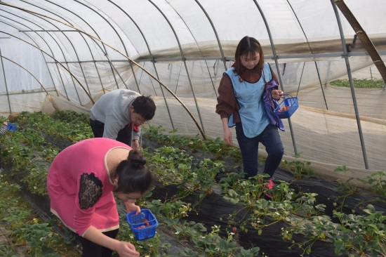 AG8�콢����(�й�)������ҳ