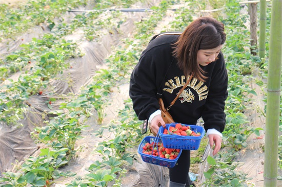 AG8�콢����(�й�)������ҳ