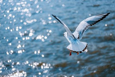 AG8�콢����(�й�)������ҳ