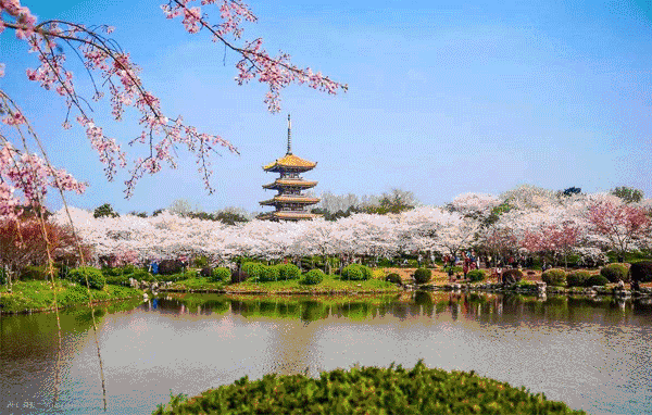 AG8�콢����(�й�)������ҳ