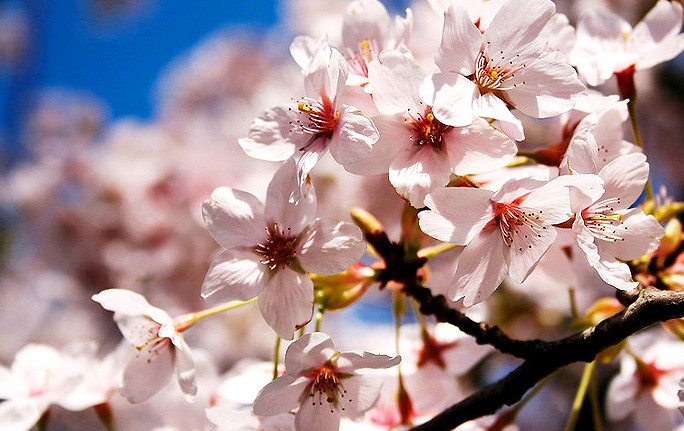 AG8�콢����(�й�)������ҳ