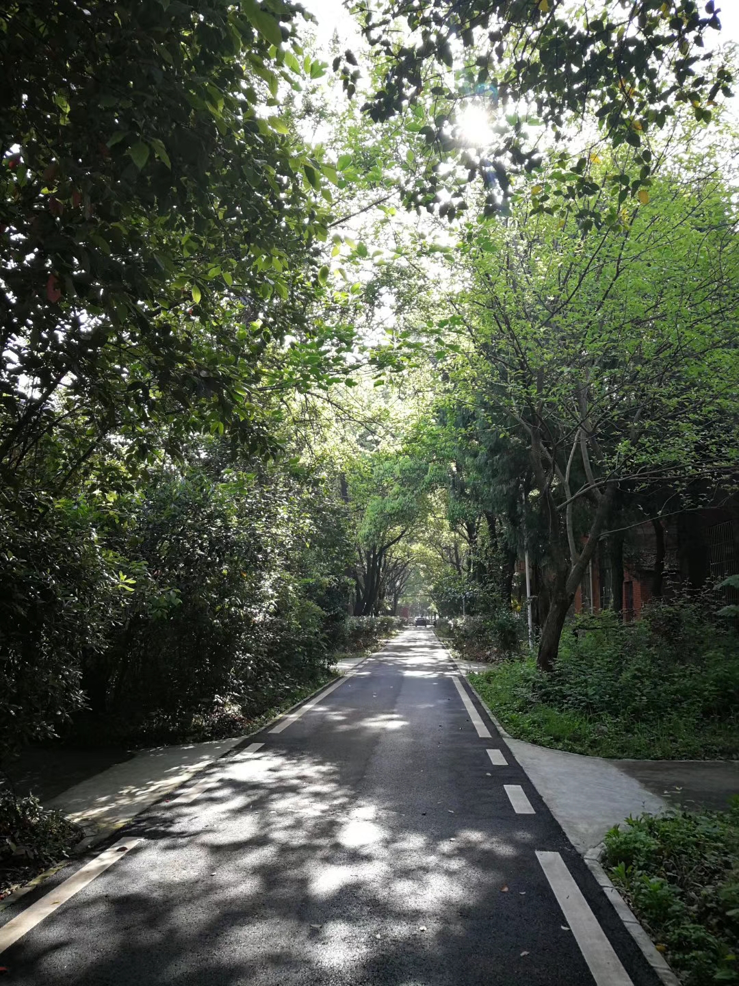 AG8�콢����(�й�)������ҳ