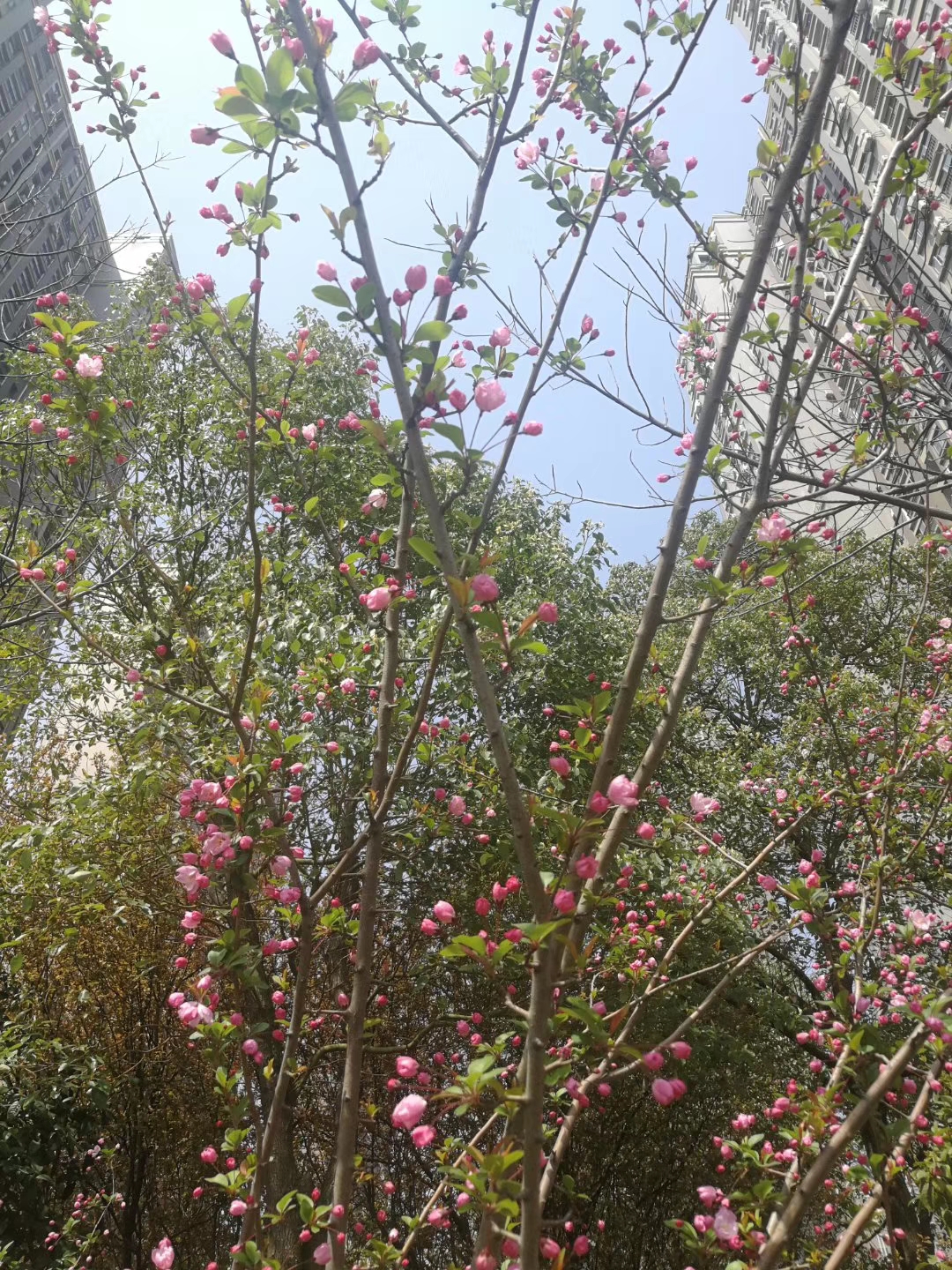 AG8�콢����(�й�)������ҳ