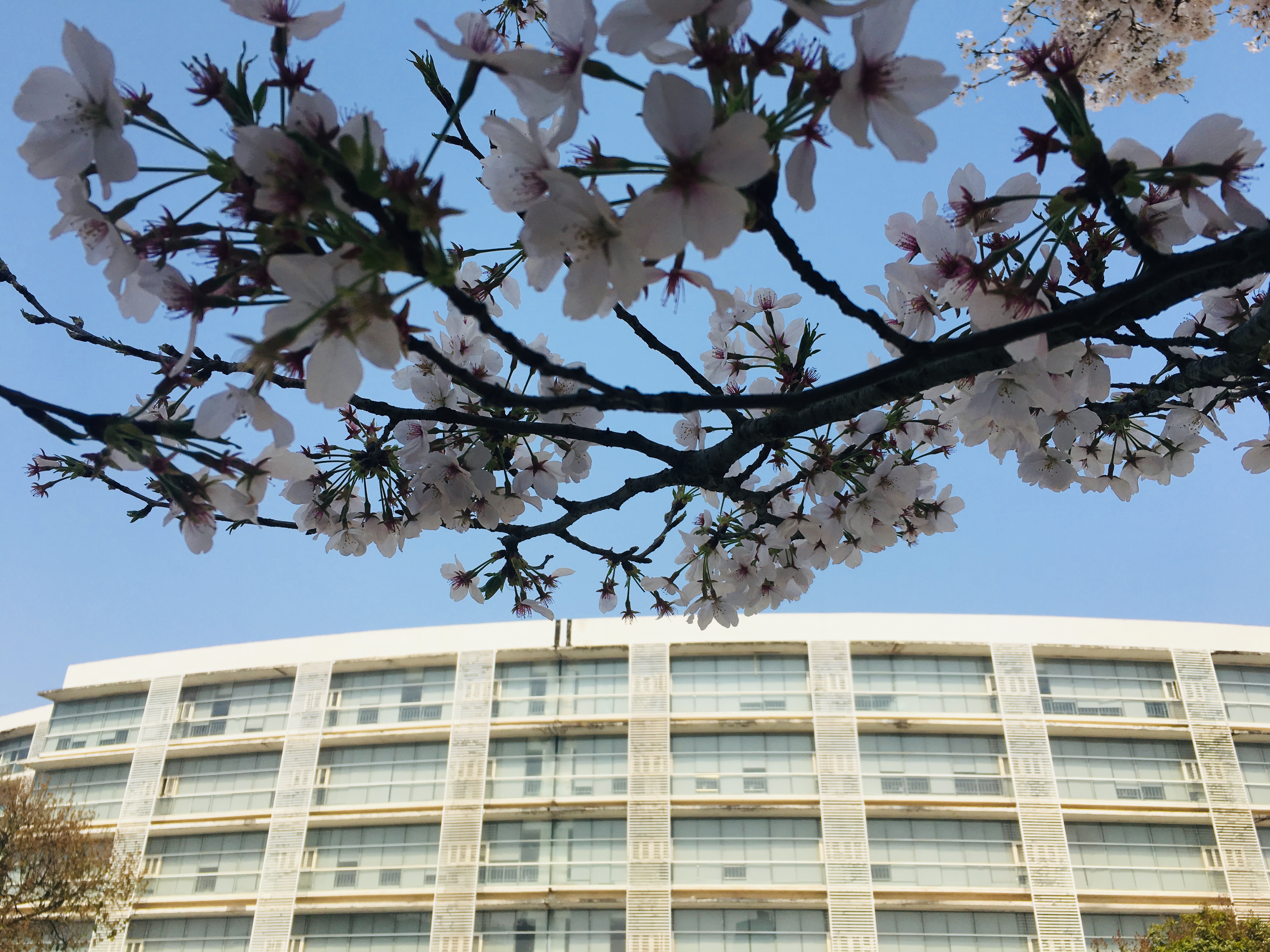 AG8�콢����(�й�)������ҳ