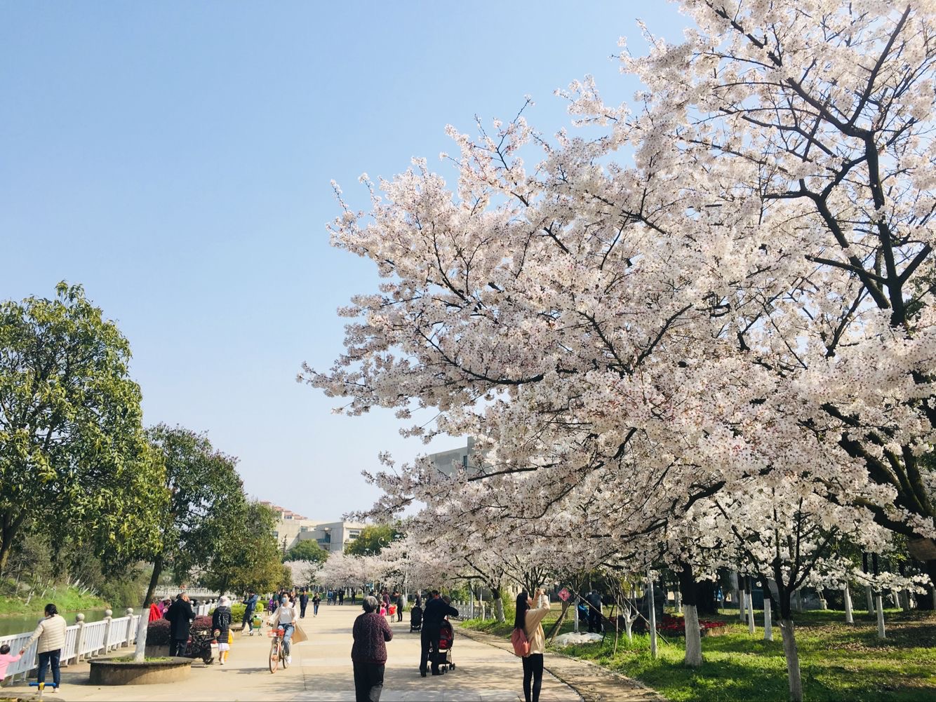 AG8�콢����(�й�)������ҳ